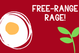 The Price of Eggs