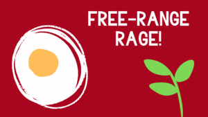 The Price of Eggs